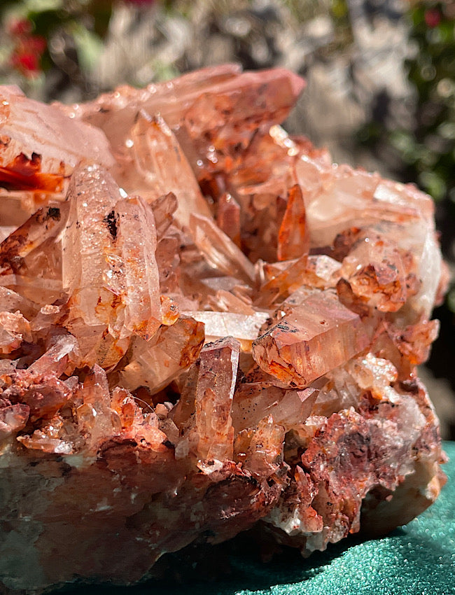 Extra Large Moroccan Red Quartz Cluster