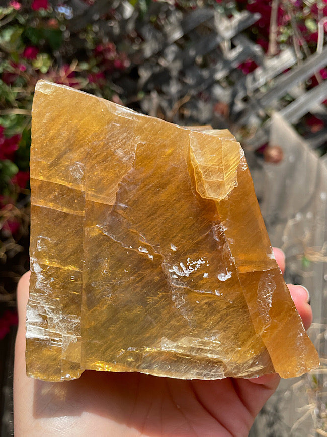 Honey Calcite Free Form