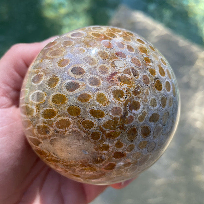 Agatized Coral Sphere