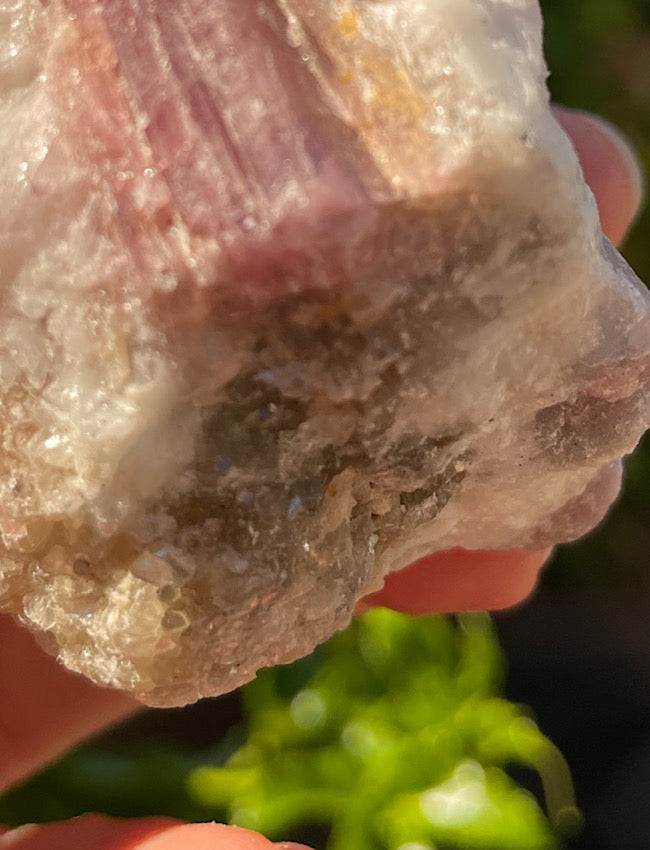 Pink Tourmaline In Quartz Matrix