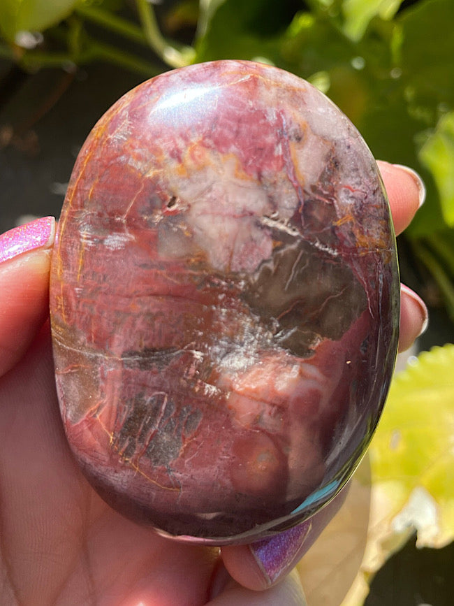 Petrified Wood Palm Stone