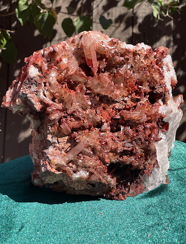 Extra Large Moroccan Red Quartz Cluster