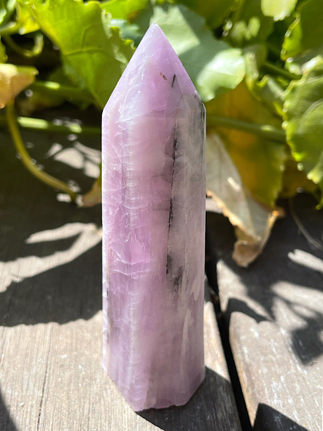 Kunzite Point with Black Tourmaline