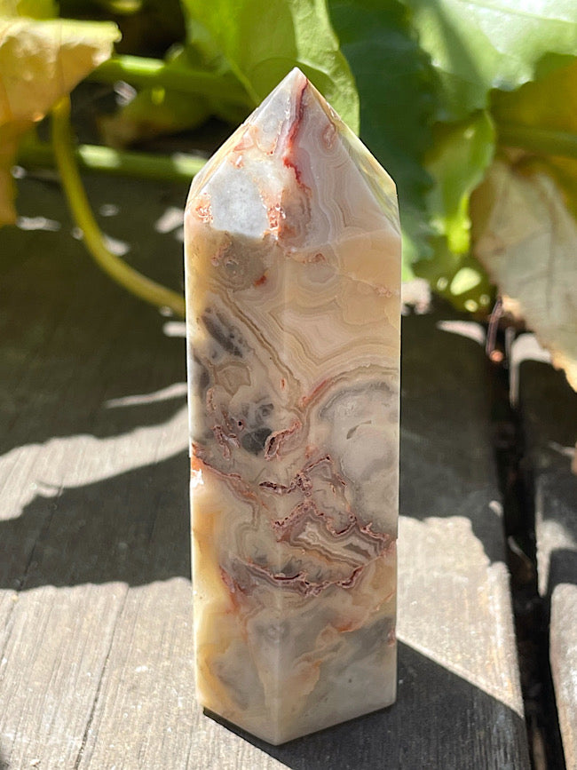 Crazy Lace Agate Point