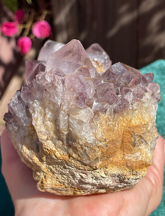 XL Spirit Quartz Cluster