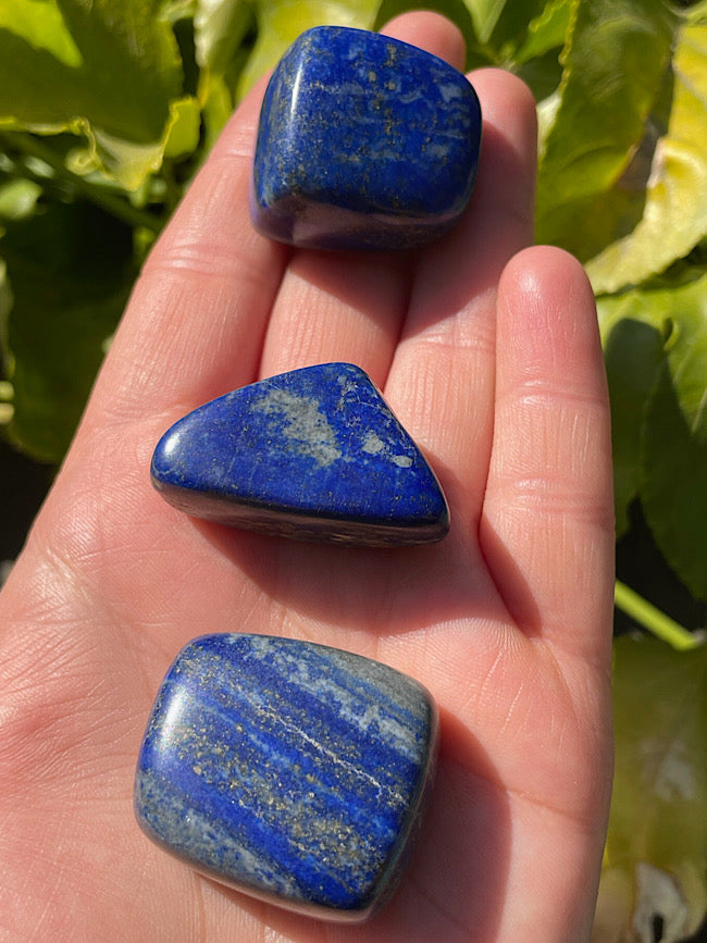 Lapis Lazuli Tumbled