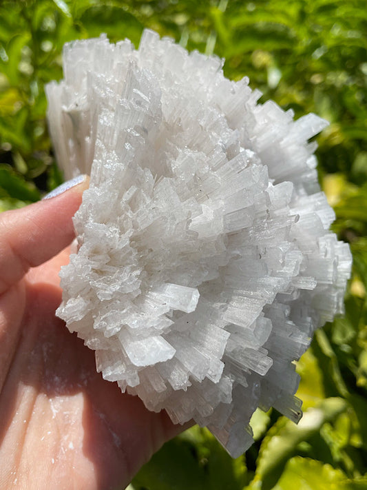 Scolecite