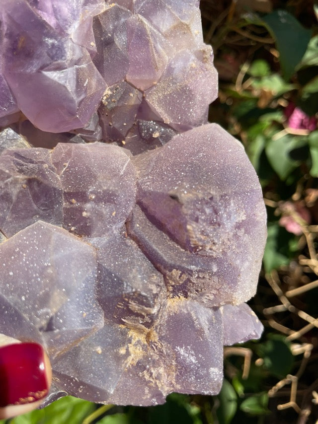 Large Amethyst Cluster