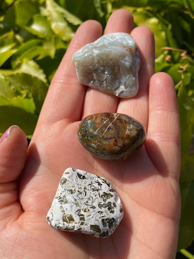 Ocean Jasper Tumbles