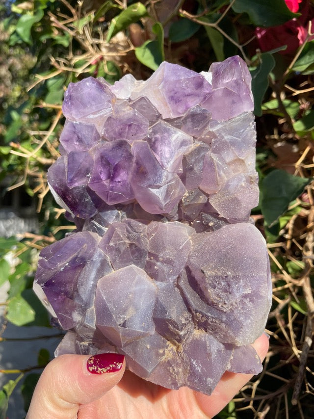 Large Amethyst Cluster