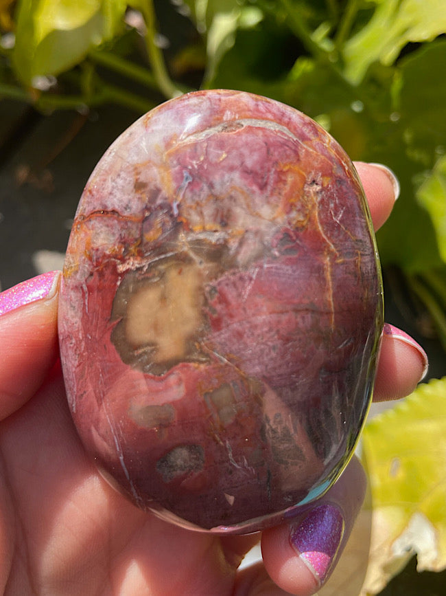 Petrified Wood Palm Stone