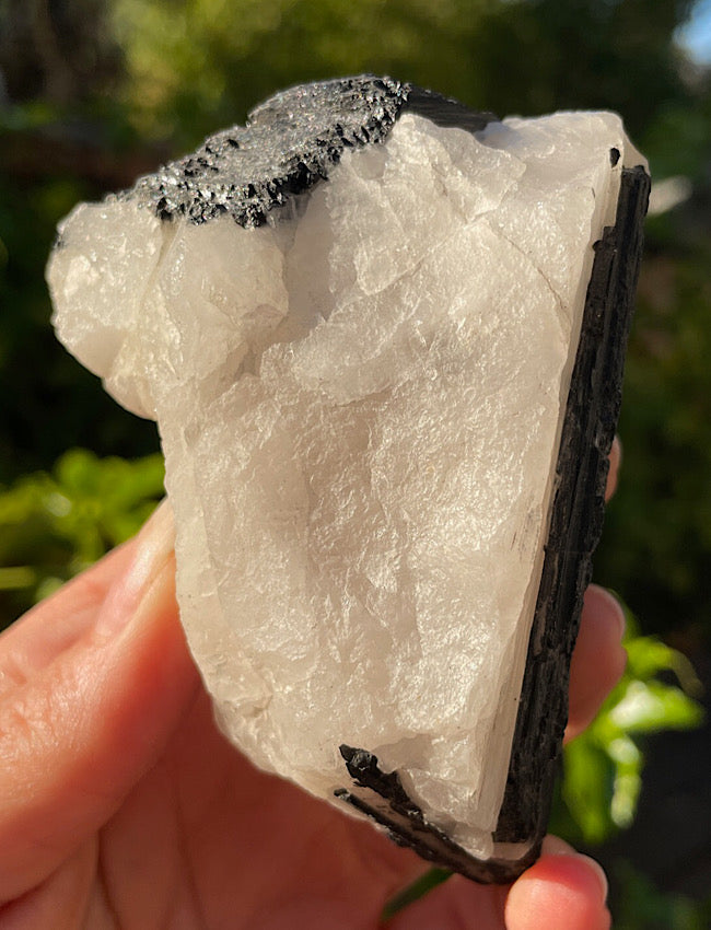 Black Tourmaline in Quartz Matrix