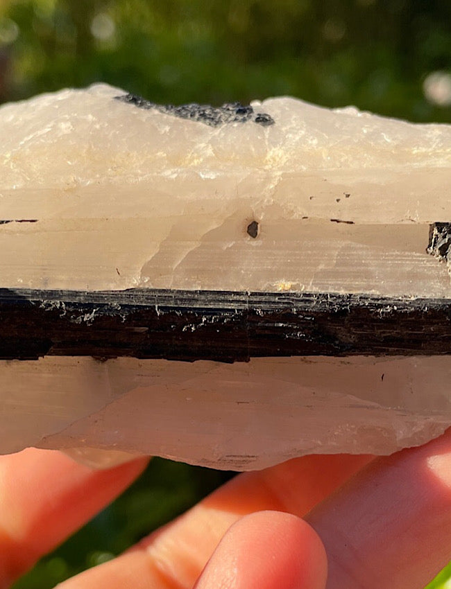 Black Tourmaline in Quartz Matrix