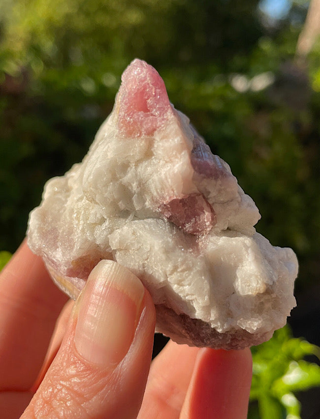 Pink Tourmaline In Quartz Matrix