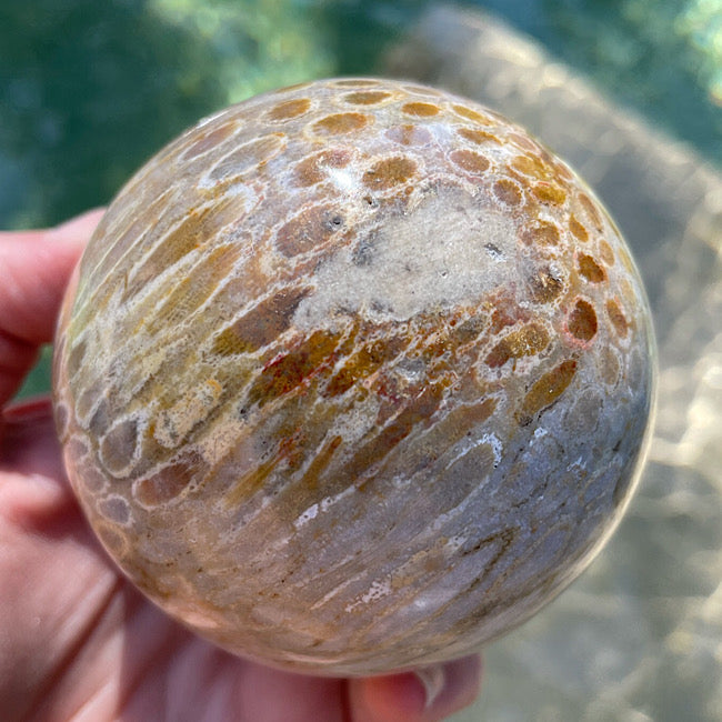 Agatized Coral Sphere