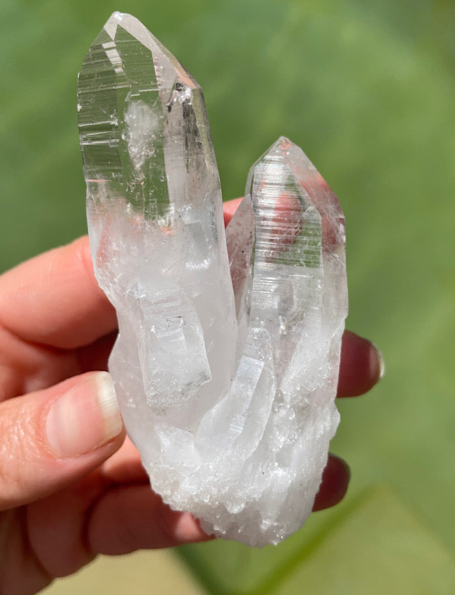 Columbian Lemurian Quartz