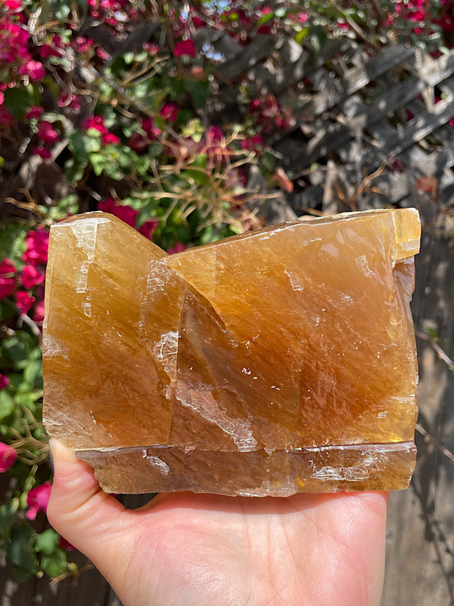 Honey Calcite Free Form