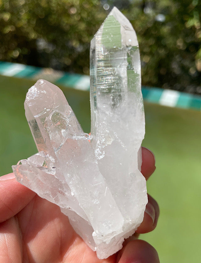 Columbian Lemurian Quartz