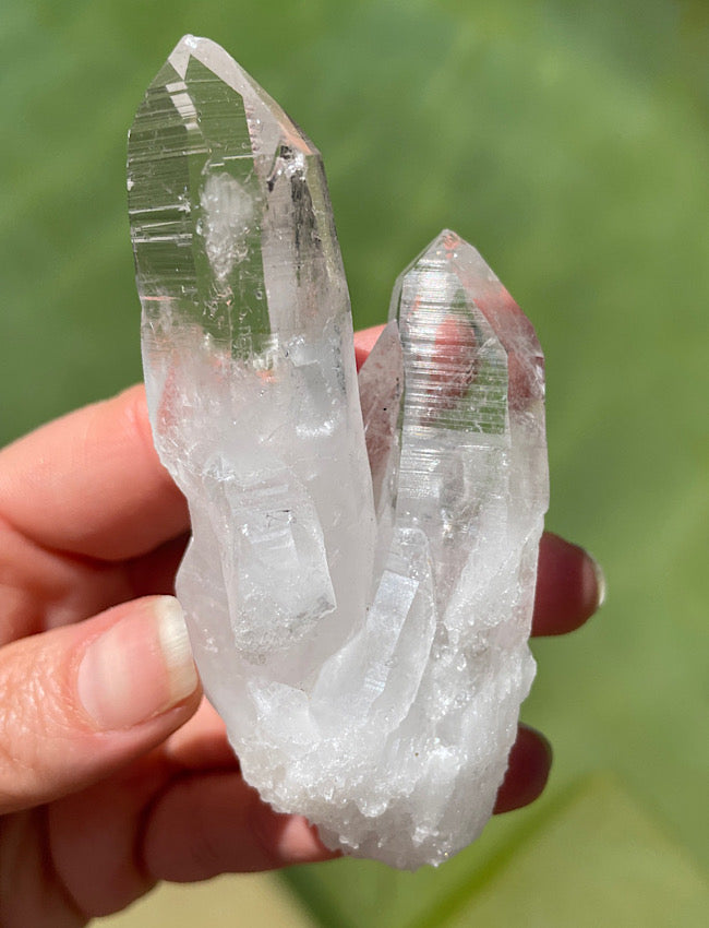 Columbian Lemurian Quartz