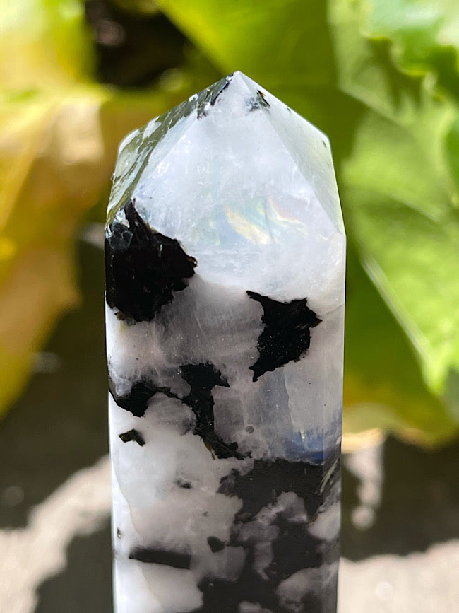 Rainbow Moonstone Point