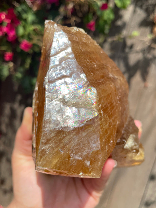 Honey Calcite Free Form