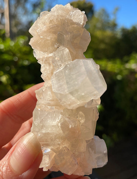 White Apophyllite Cluster