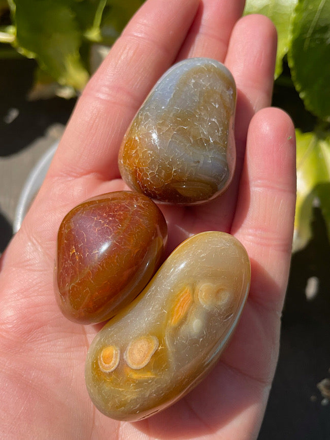 Carnelian Tumbled