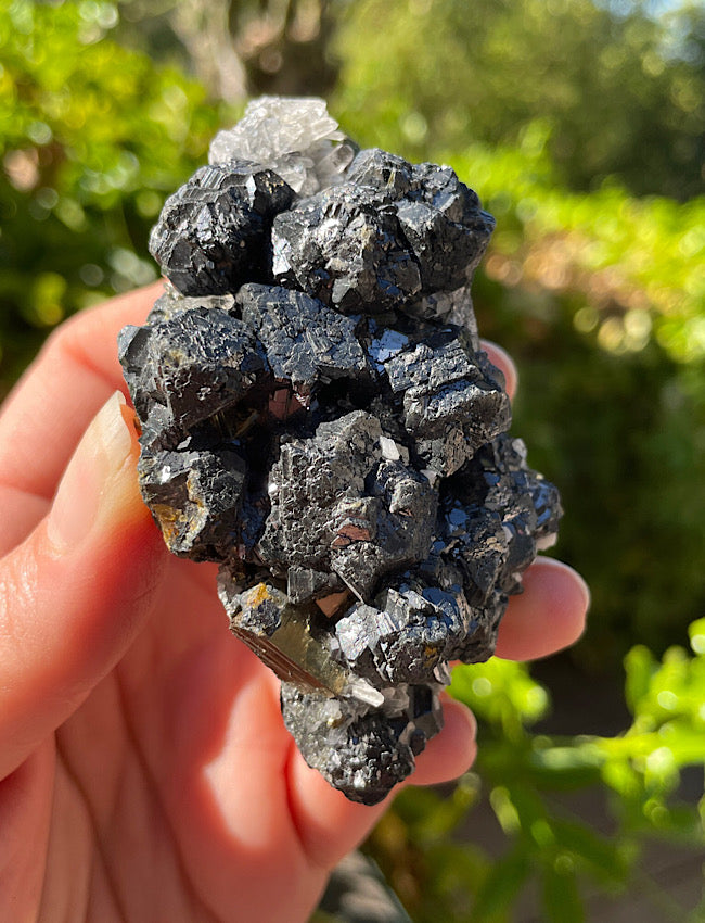 Black Tourmaline, Clear Quartz, and Pyrite Cluster