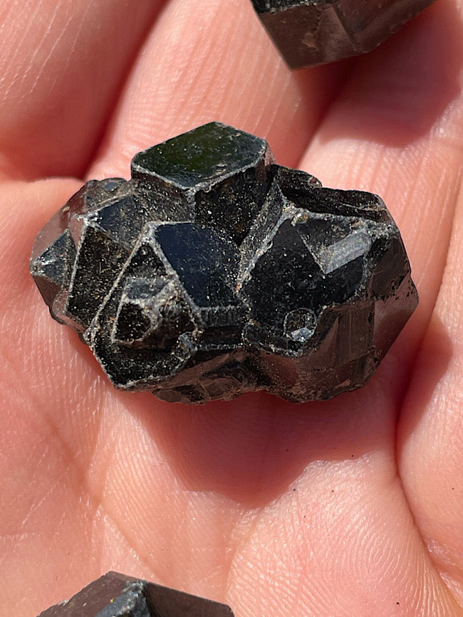 Black Garnet Raw