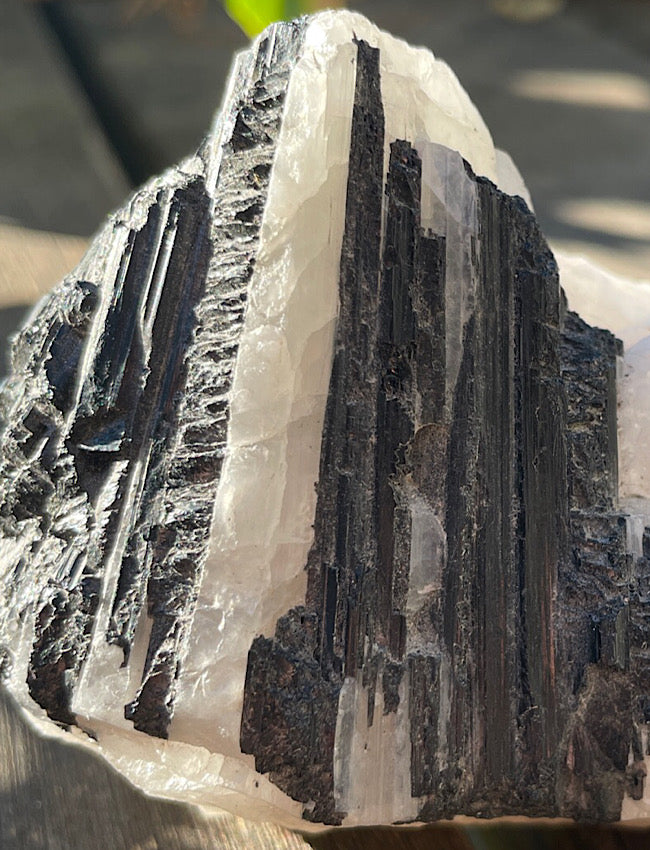 Black Tourmaline in Quartz Matrix