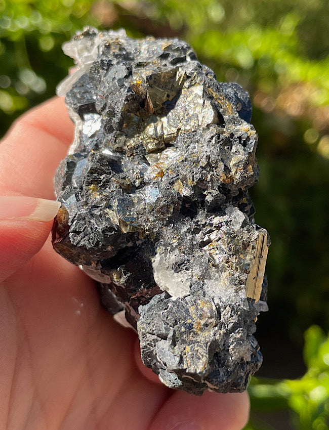 Black Tourmaline, Clear Quartz, and Pyrite Cluster