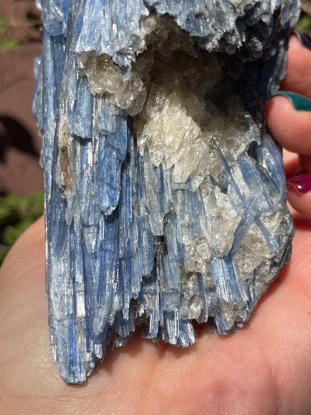 Large Blue Kyanite on Quartz Matrix