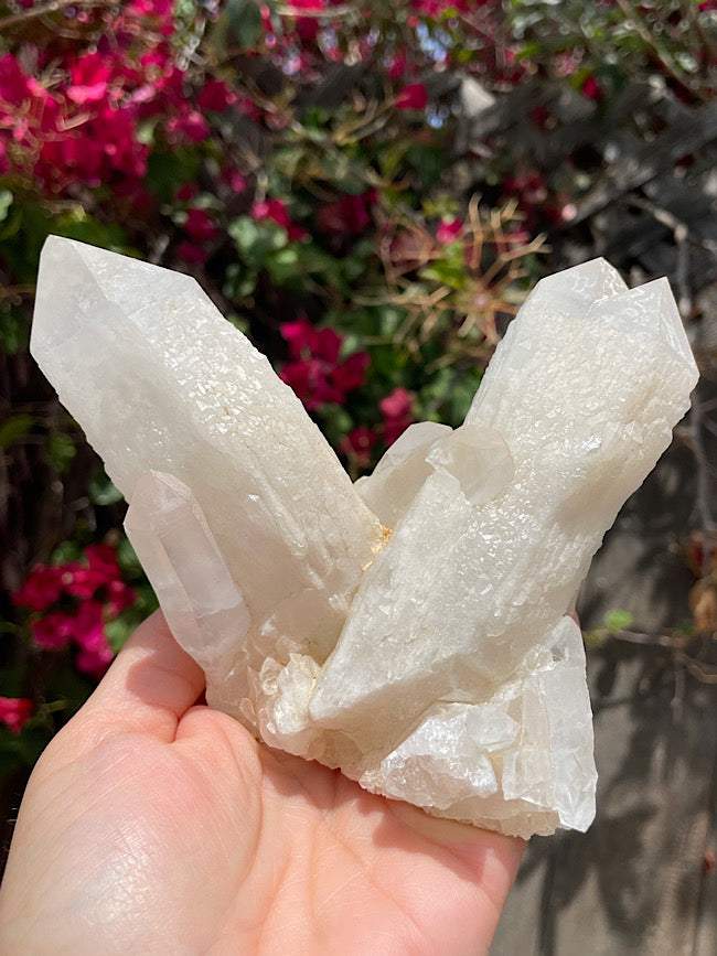 Candle Quartz