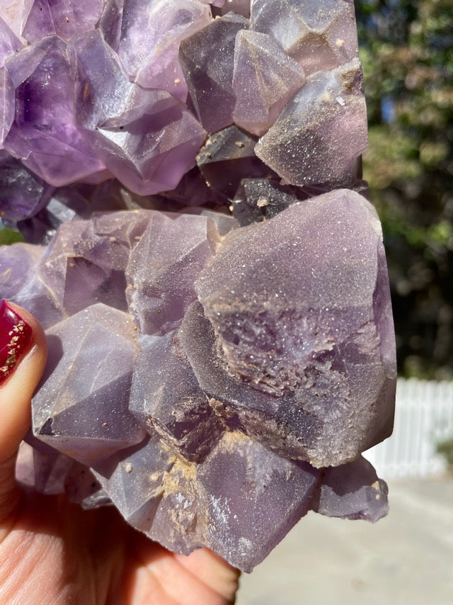 Large Amethyst Cluster