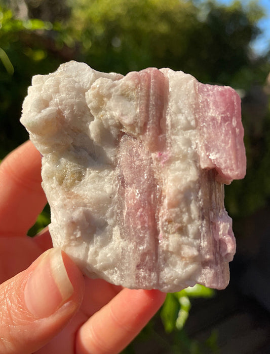 Pink Tourmaline In Quartz Matrix