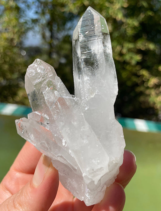 Columbian Lemurian Quartz