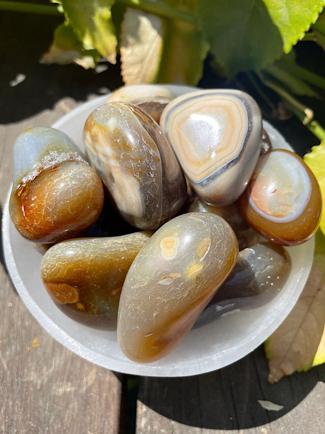 Carnelian Tumbled