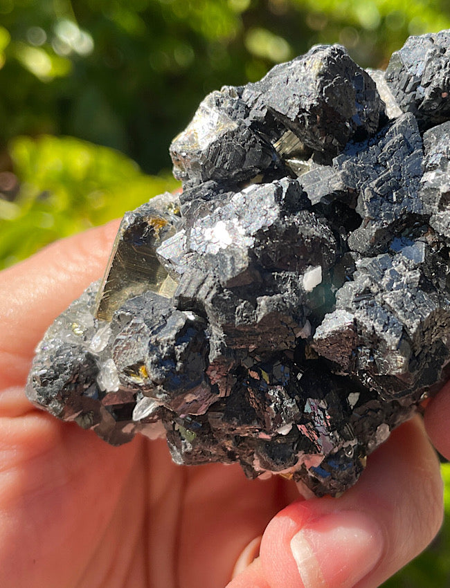 Black Tourmaline, Clear Quartz, and Pyrite Cluster