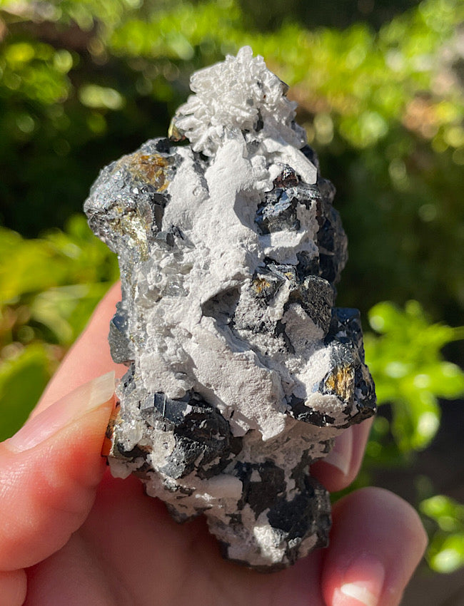 Black Tourmaline, Clear Quartz, and Pyrite Cluster