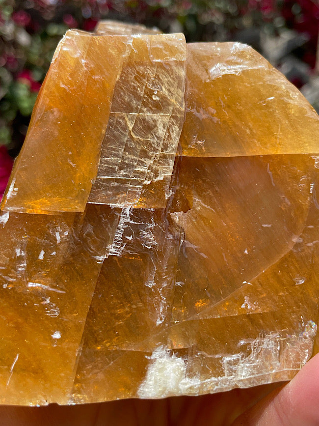 Honey Calcite Free Form