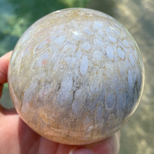 Agatized Coral Sphere