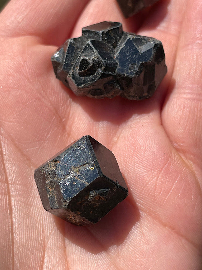 Black Garnet Raw