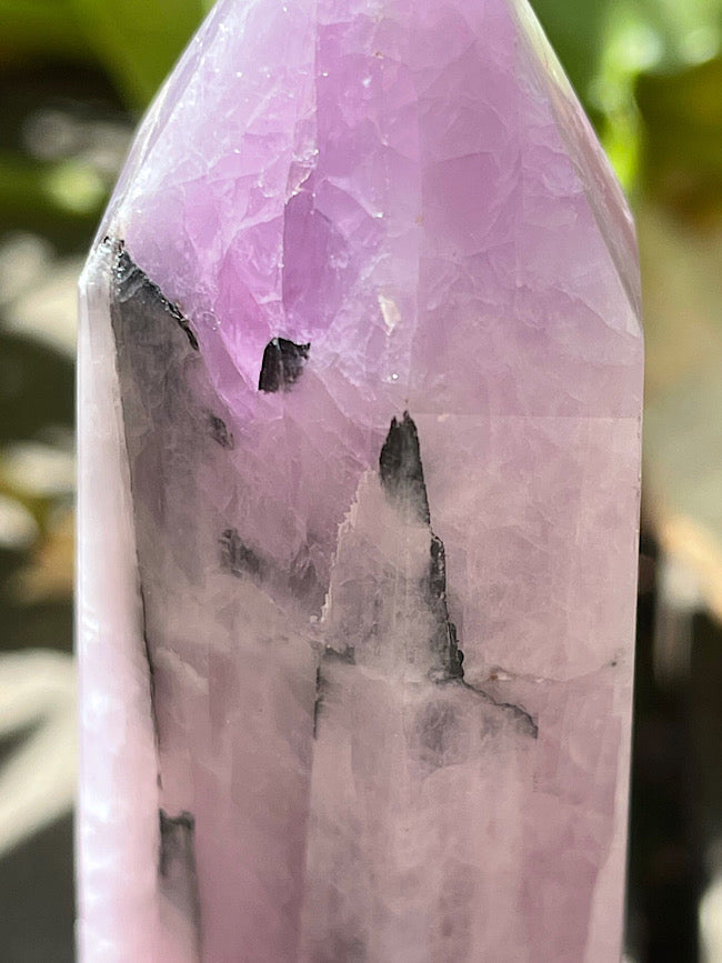 Kunzite Point with Black Tourmaline