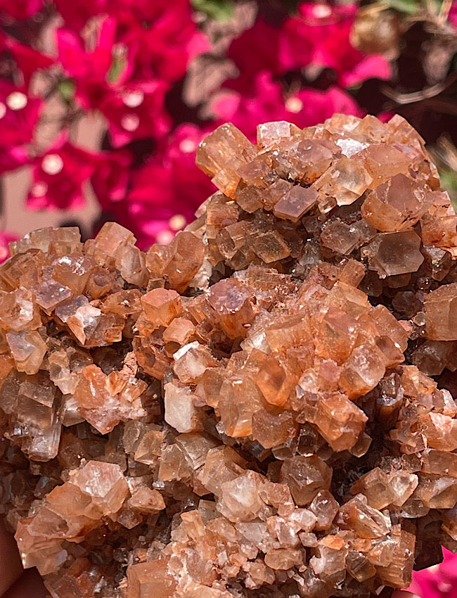 Brown Aragonite Cluster