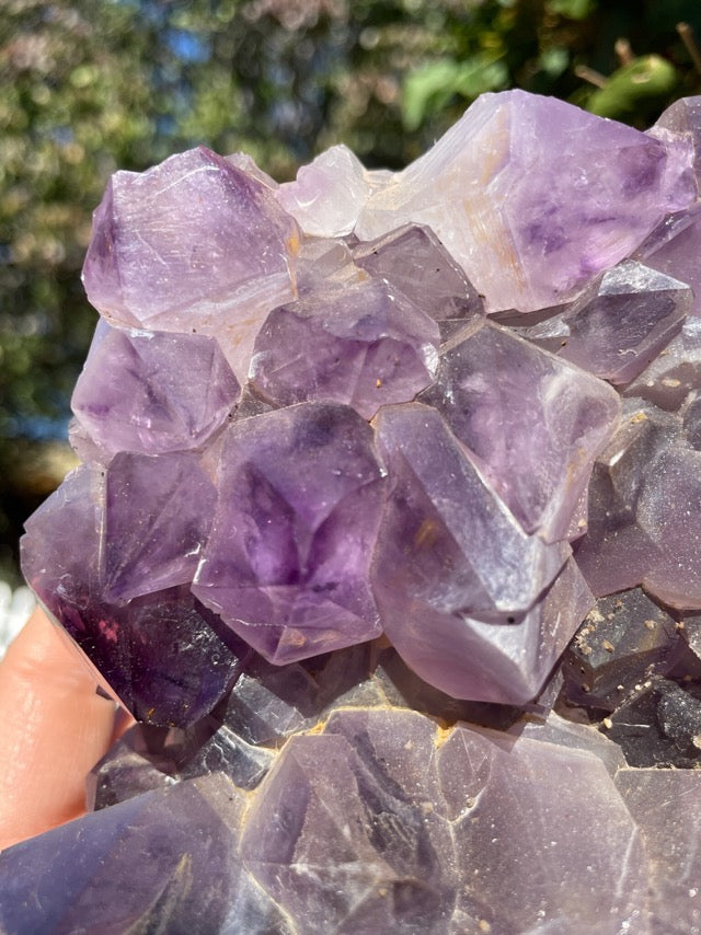 Large Amethyst Cluster