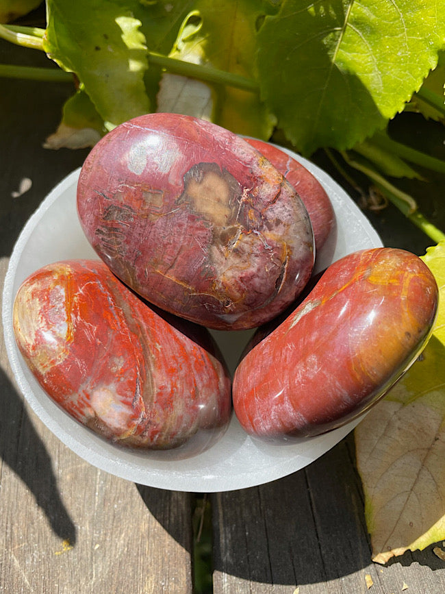 Petrified Wood Palm Stone