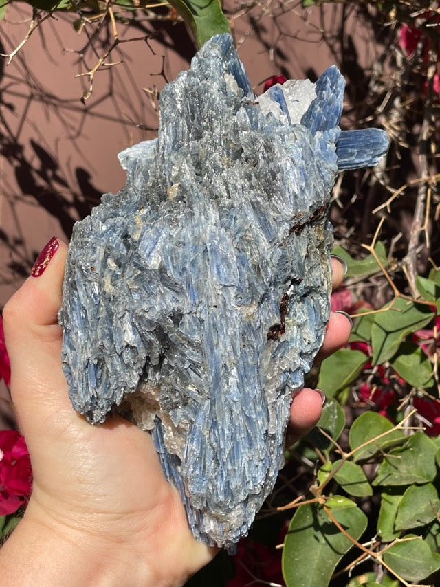 Large Blue Kyanite on Quartz Matrix