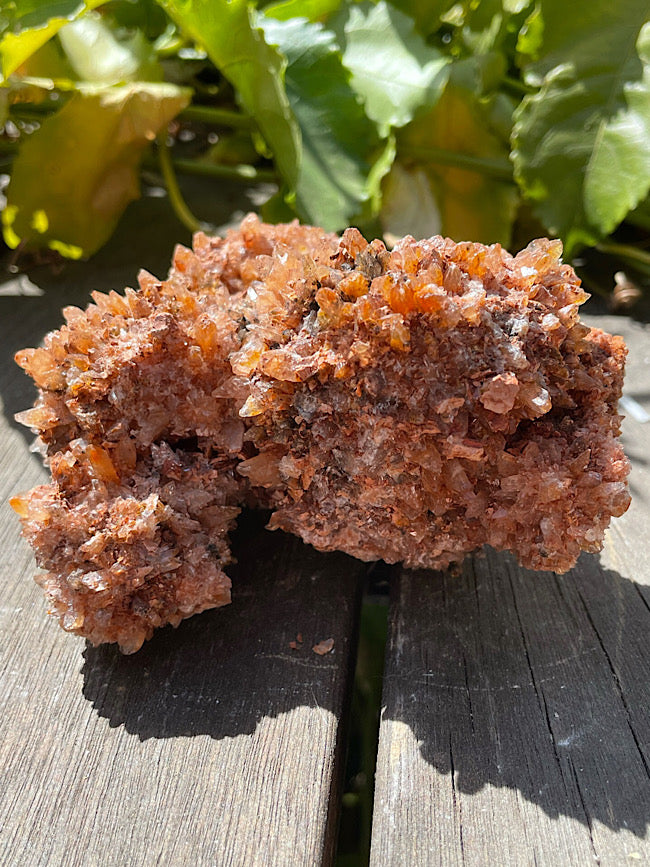 Creedite