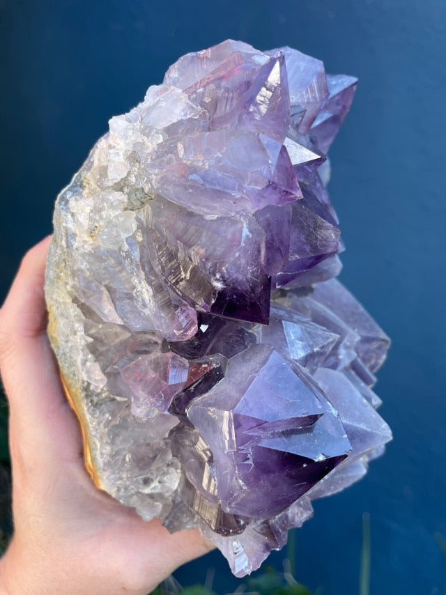 Large Amethyst Cluster