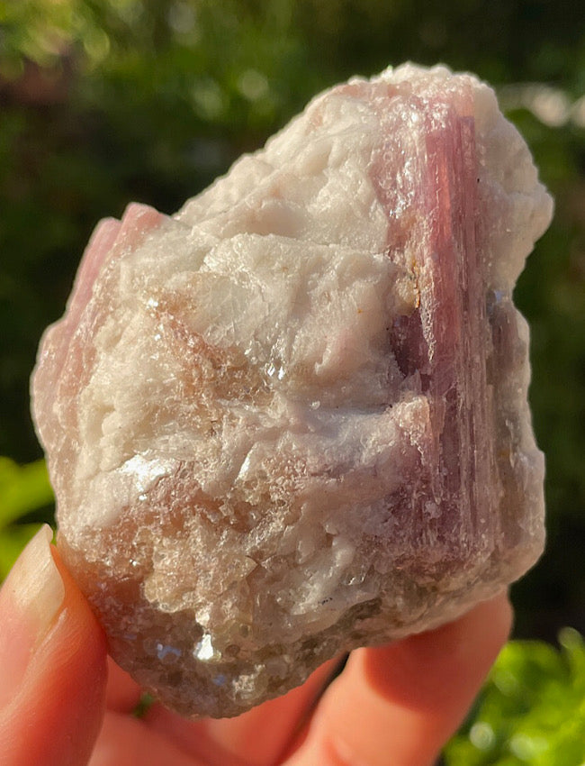 Pink Tourmaline In Quartz Matrix